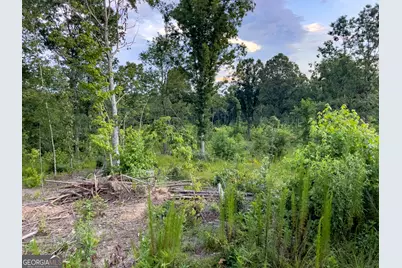 0 Roy Dean Road, Buchanan, GA 30113 - Photo 25