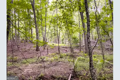 0 Roy Dean Road, Buchanan, GA 30113 - Photo 21