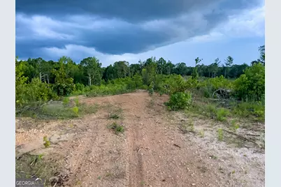 0 Roy Dean Road, Buchanan, GA 30113 - Photo 27