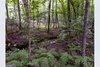 0 Roy Dean Road, Buchanan, GA 30113 - Photo 19