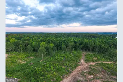 0 Roy Dean Road, Buchanan, GA 30113 - Photo 9