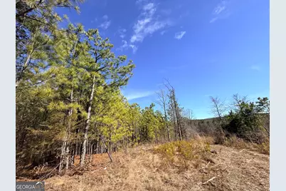 11 Emmaus Drive, Elberton, GA 30635 - Photo 53