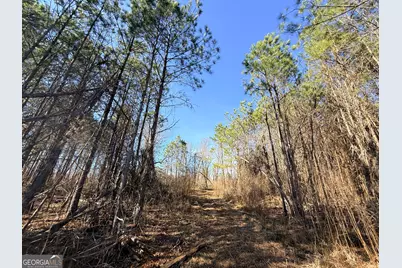 11 Emmaus Drive, Elberton, GA 30635 - Photo 65