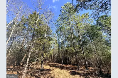 11 Emmaus Drive, Elberton, GA 30635 - Photo 47