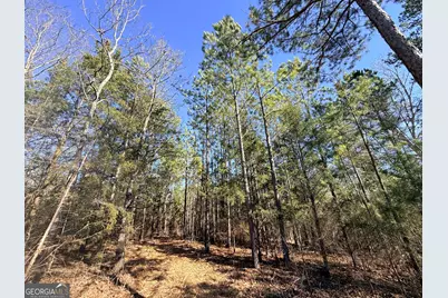 11 Emmaus Drive, Elberton, GA 30635 - Photo 67