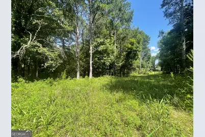 0 Asa Mosley Road, McDonough, GA 30252 - Photo 5