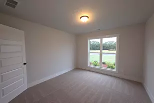 227 Dove Fld Dr, Statham, GA 30666 - Photo 19