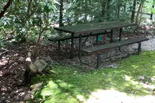 128 Cindy Pkwy, Cleveland, GA 30528 - Photo 5