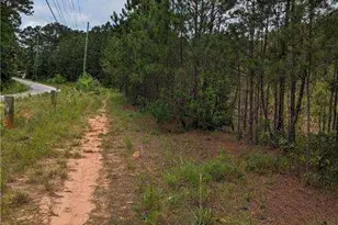 7900 Downs Rd, Winston, GA 30187 - Photo 3