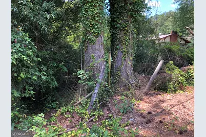 1222 E Tugalo Street, Toccoa, GA 30577 - Photo 21