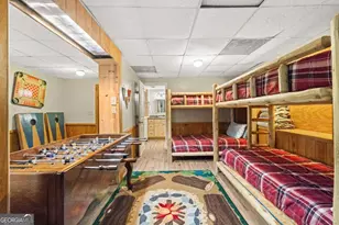 556 Cherry Lake Drive, Cherrylog, GA 30522 - Photo 21