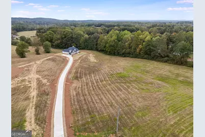 3262 Veal Street, Roopville, GA 30170 - Photo 41