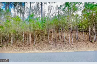 64 Meadow Brooke Drive, Young Harris, GA 30582 - Photo 13