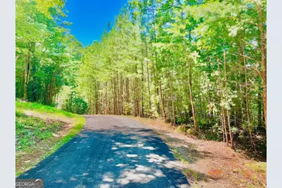 64 Meadow Brooke Drive, Young Harris, GA 30582 - Photo 25