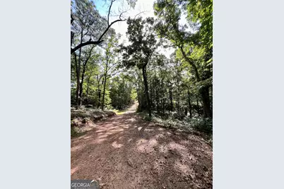 621 Rance Foster Road, Bowdon, GA 30108 - Photo 25