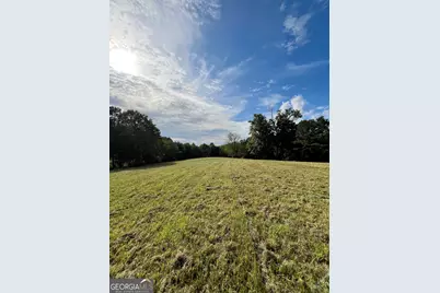 621 Rance Foster Road, Bowdon, GA 30108 - Photo 31