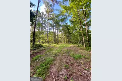 621 Rance Foster Road, Bowdon, GA 30108 - Photo 33