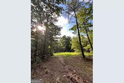 621 Rance Foster Road, Bowdon, GA 30108 - Photo 53