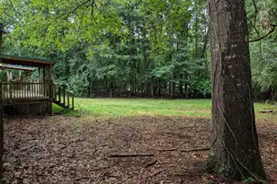 894 High Falls Rd, Jackson, GA 30233 - Photo 9