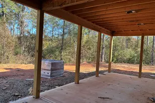 243 Copper Crossing, Forsyth, GA 31029 - Photo 7