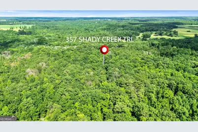 357 Shady Creek Trail, Williamson, GA 30292 - Photo 71