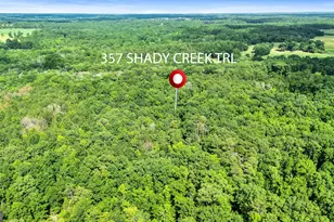 357 Shady Crk Trl, Williamson, GA 30292 - Photo 71