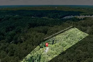 165 Lake Hampton Dr, Hampton, GA 30228 - Photo 29