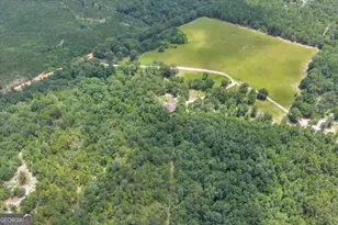 206 Southland Rd, Butler, GA 31006 - Photo 55