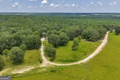 206 Southland Road, Butler, GA 31006 - Photo 43