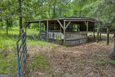 206 Southland Road, Butler, GA 31006 - Photo 47