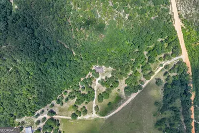 206 Southland Road, Butler, GA 31006 - Photo 57