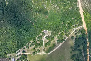 206 Southland Rd, Butler, GA 31006 - Photo 57