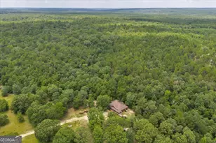 206 Southland Rd, Butler, GA 31006 - Photo 53