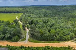 206 Southland Rd, Butler, GA 31006 - Photo 41