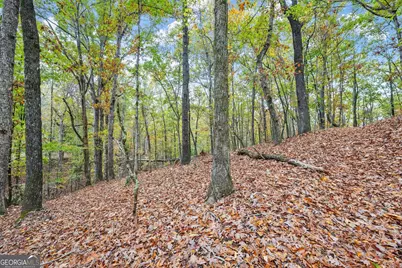 4701A Cleveland Highway #A, Gainesville, GA 30506 - Photo 23