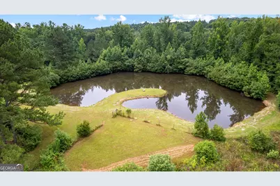 854 Lee Lane, Greenville, GA 30222 - Photo 3