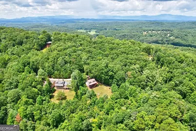 705 Hickory Drive, Mineral Bluff, GA 30559 - Photo 49