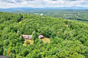 705 Hickory Dr, Mineral Bluff, GA 30559 - Photo 49