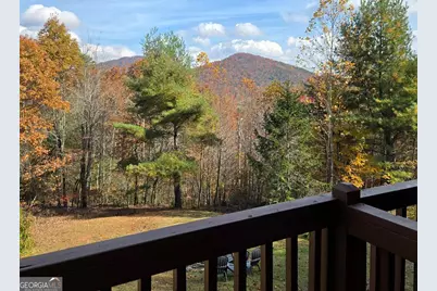 705 Hickory Drive, Mineral Bluff, GA 30559 - Photo 61