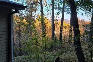 705 Hickory Dr, Mineral Bluff, GA 30559 - Photo 55