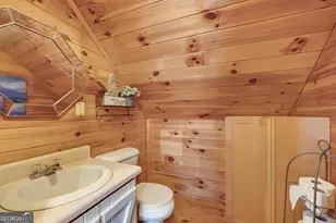 705 Hickory Dr, Mineral Bluff, GA 30559 - Photo 31