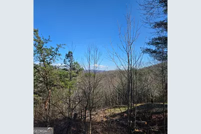 705 Hickory Drive, Mineral Bluff, GA 30559 - Photo 59