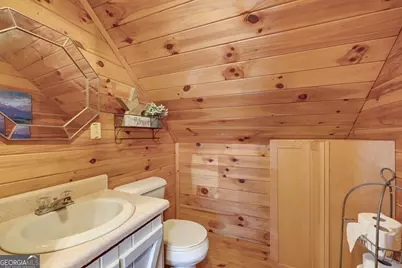 705 Hickory Drive, Mineral Bluff, GA 30559 - Photo 29