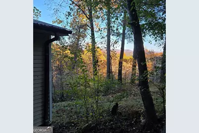 705 Hickory Drive, Mineral Bluff, GA 30559 - Photo 53