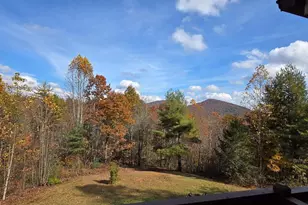 705 Hickory Dr, Mineral Bluff, GA 30559 - Photo 57