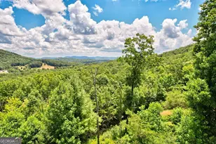 705 Hickory Dr, Mineral Bluff, GA 30559 - Photo 45