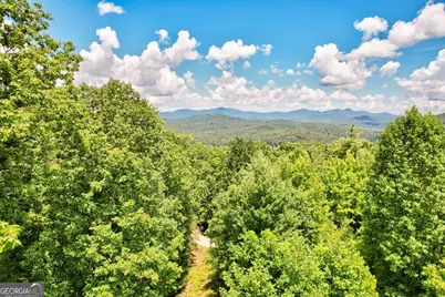 705 Hickory Drive, Mineral Bluff, GA 30559 - Photo 45