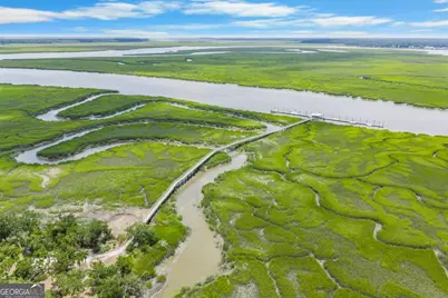 3217 Coopers Point Drive NE, Townsend, GA 31331 - Photo 79