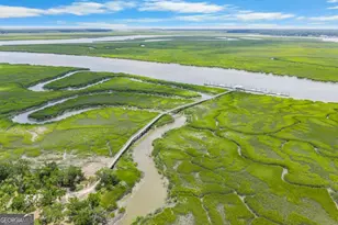 3217 Coopers Point Dr NE, Townsend, GA 31331 - Photo 79