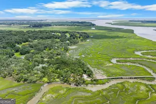 3217 Coopers Point Dr NE, Townsend, GA 31331 - Photo 81